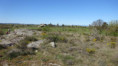 /album/4-avril-coteaux-de-bourdic/v-417-jpg/